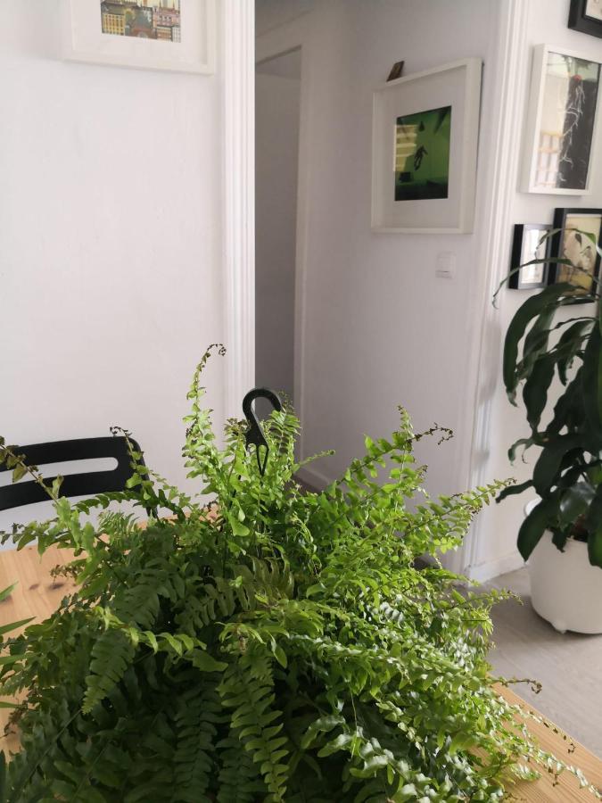 Appartamento My Quiet House Málaga Esterno foto